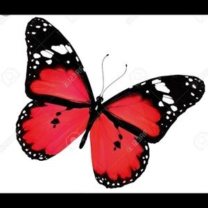 Meet your Posher, Diana